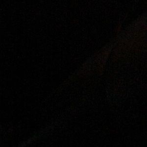 Meet your Posher, Diana